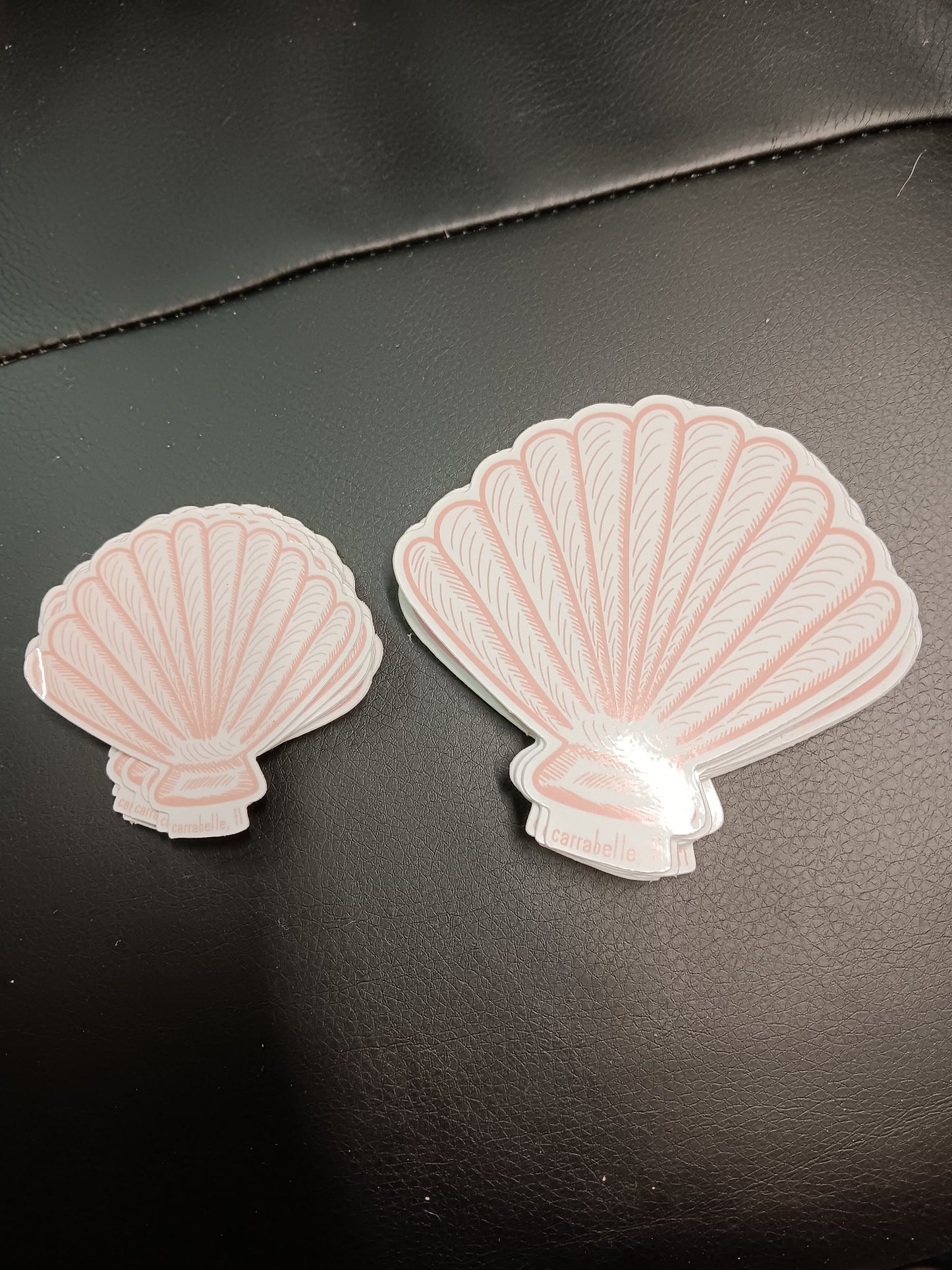 Single Seashell Carrabelle, FL Sticker